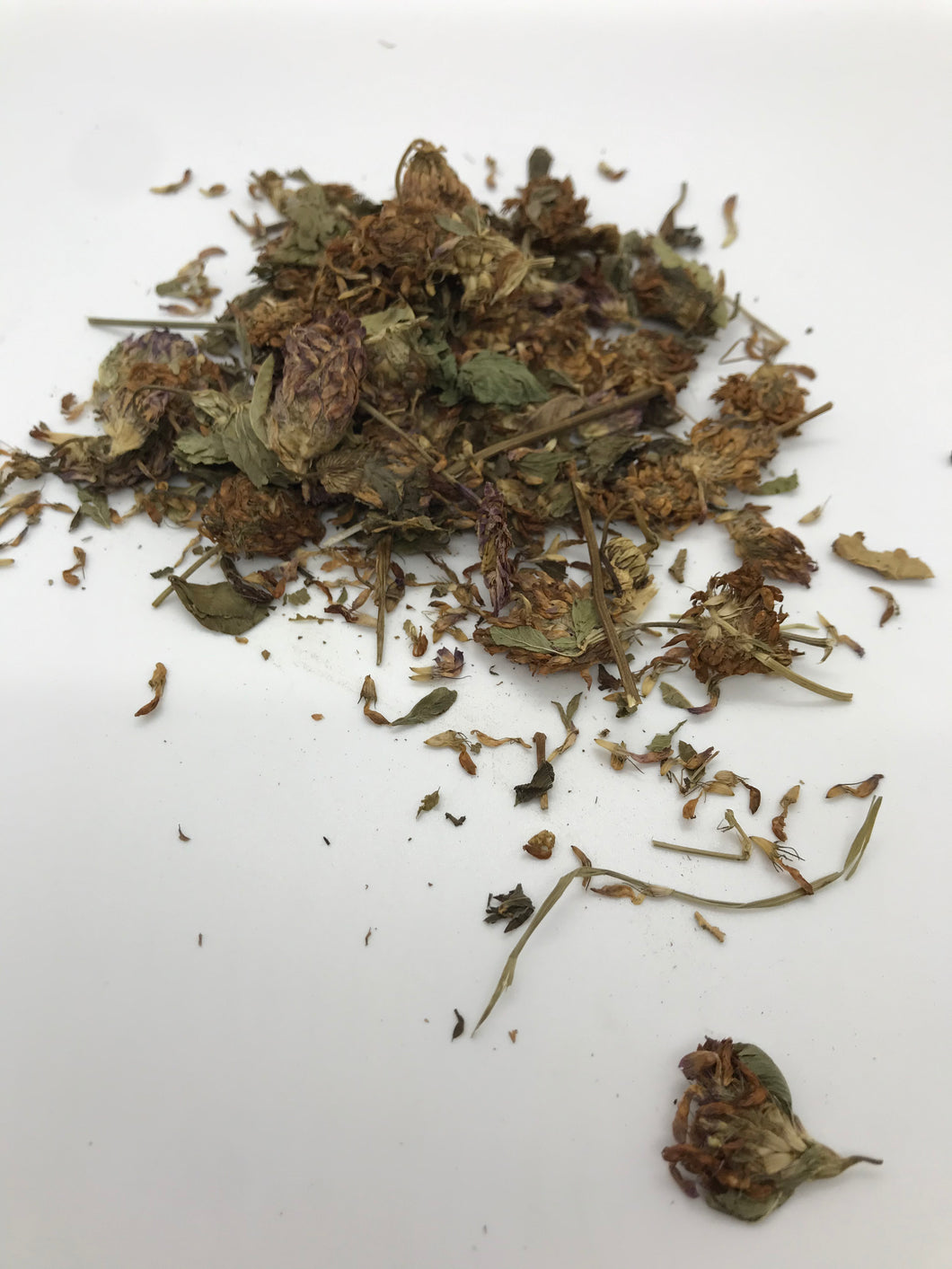 Red Clover
